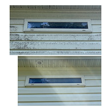 House-Power-Washing-in-Gloucester-VA-Another-Happy-Customer-with-On-Point-Pressure-Washing 3